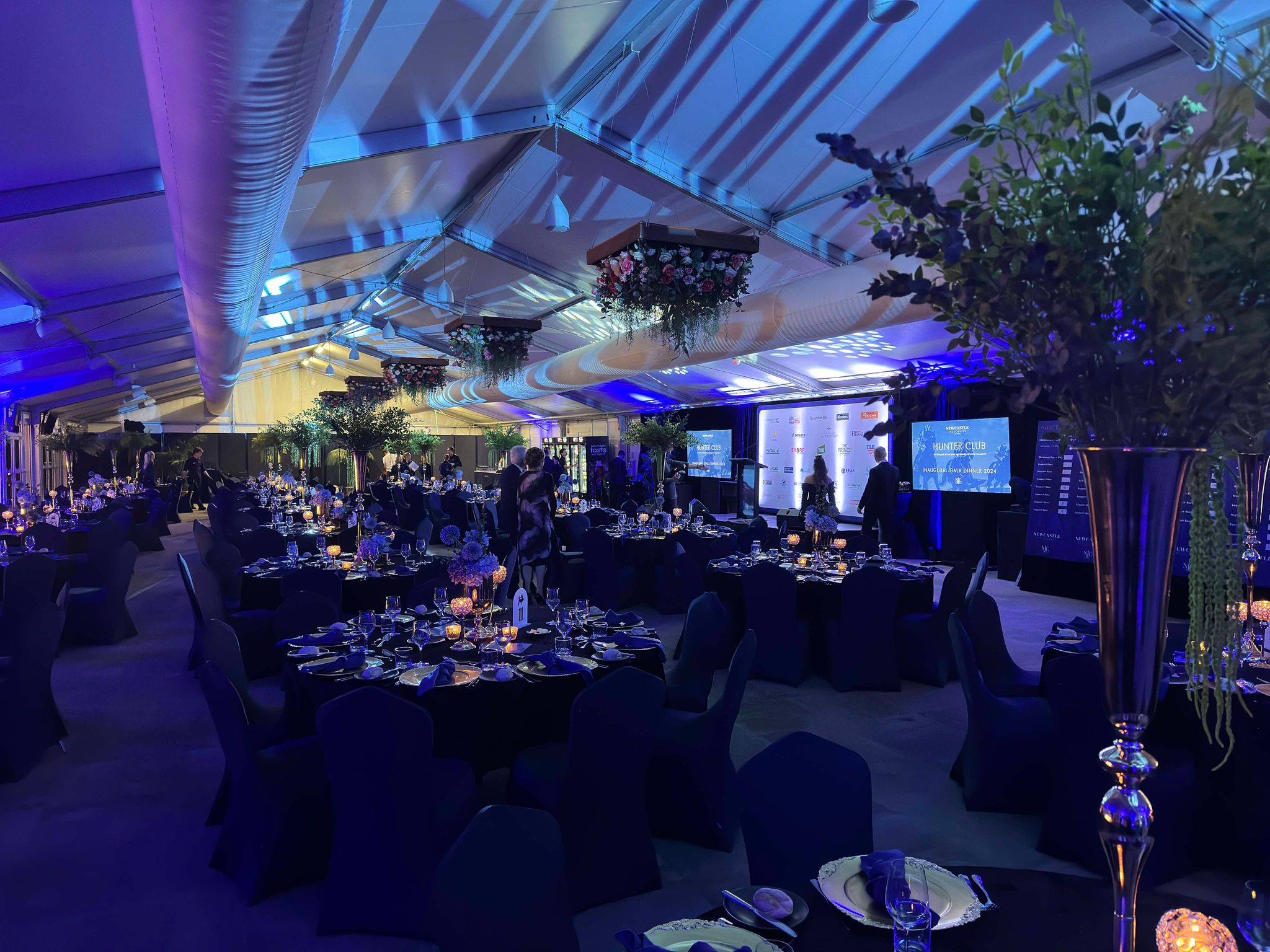 TV Screens - Image 5